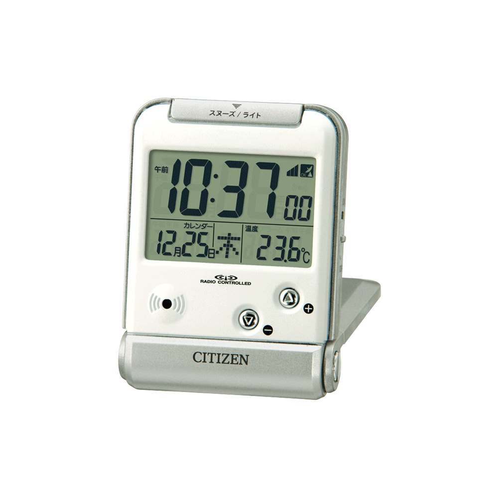 パルデジットベラR081