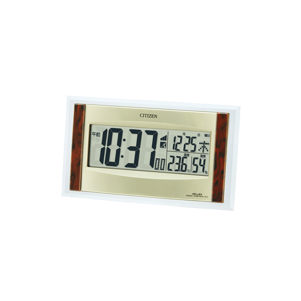 パルデジットソーラーR089