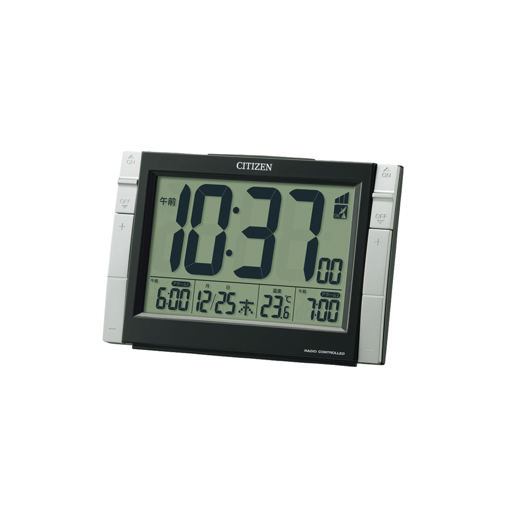 パルデジットワイドDS