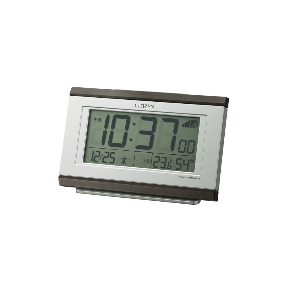 パルデジットキング