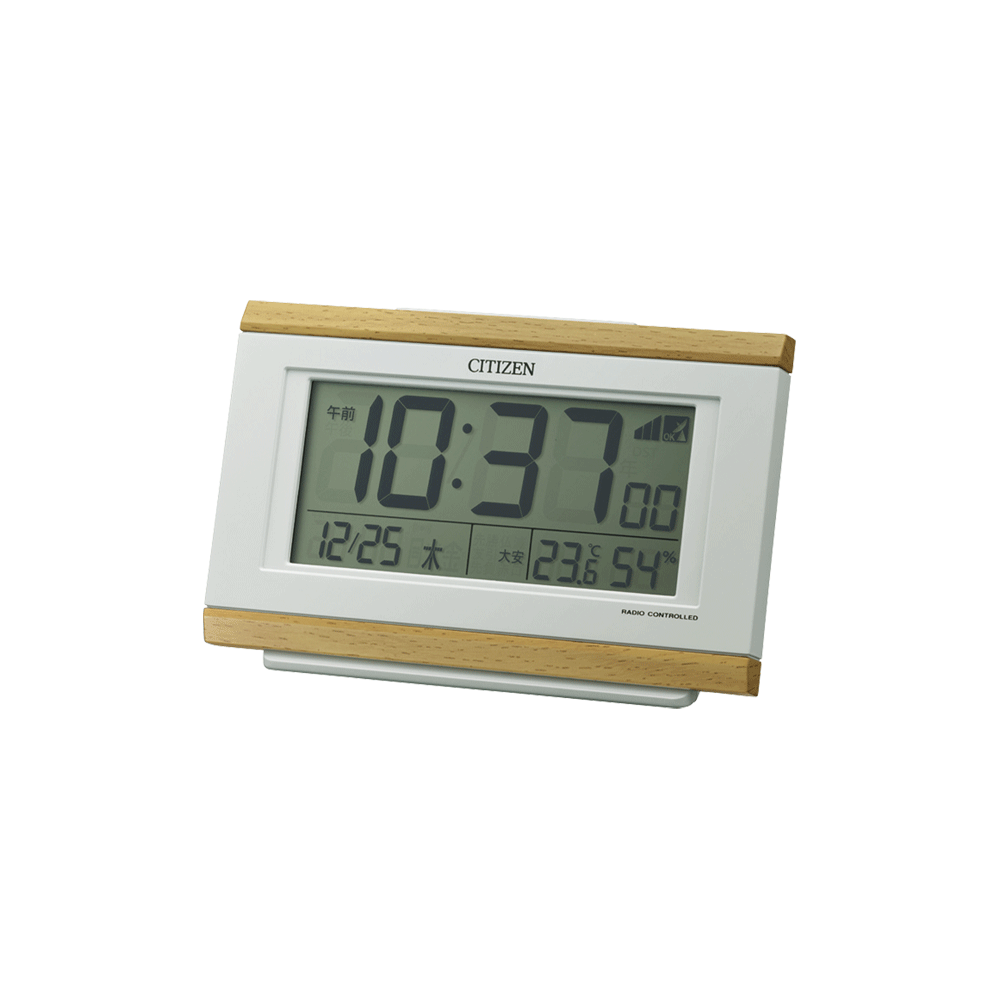 パルデジットキング